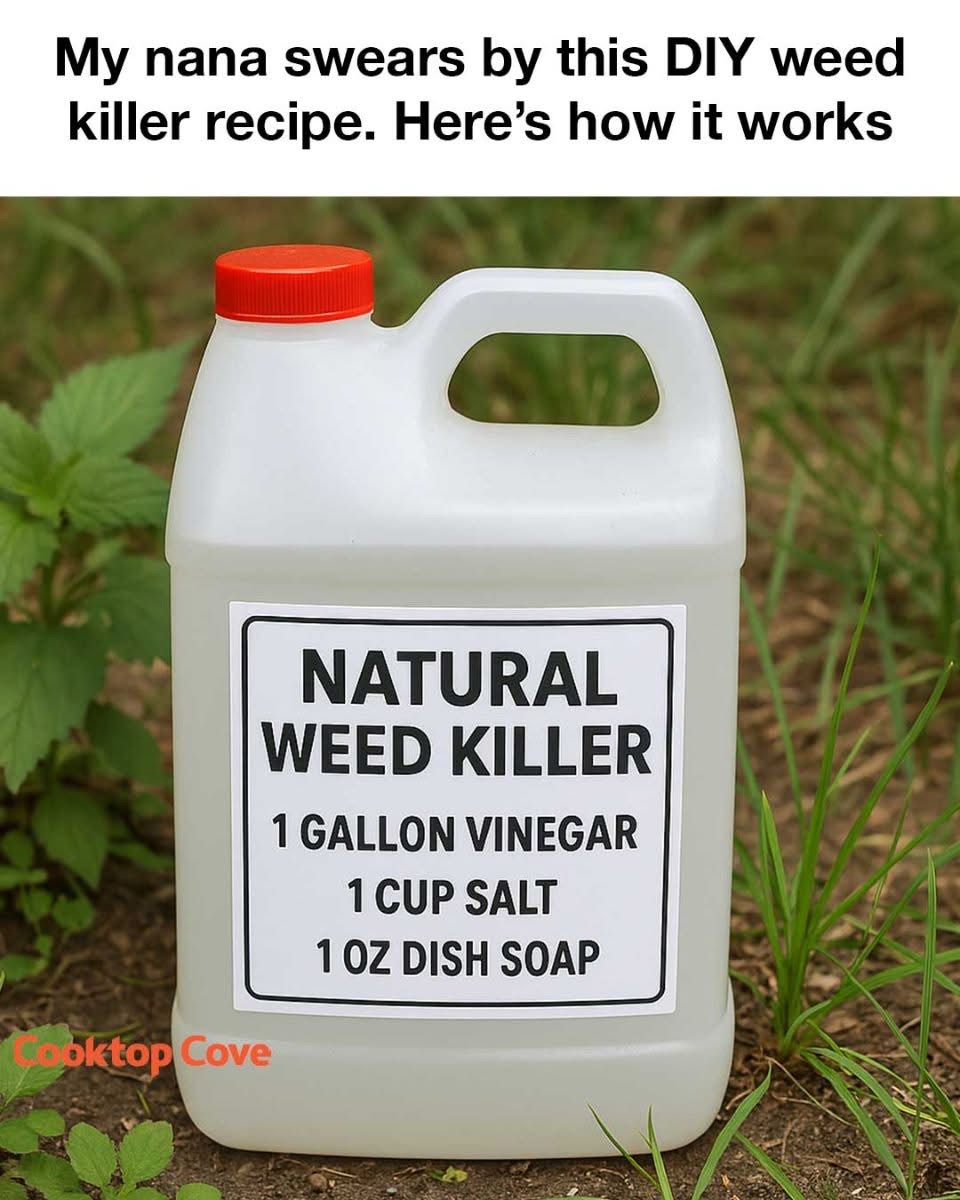 My nana swears by this DIY weed killer recipe. Here’s how it works