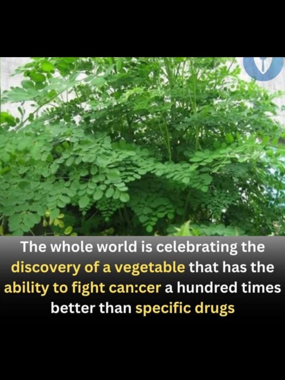 The World Is Celebrating This Super Vegetable — And You’ll Want to Add It to Your Plate
