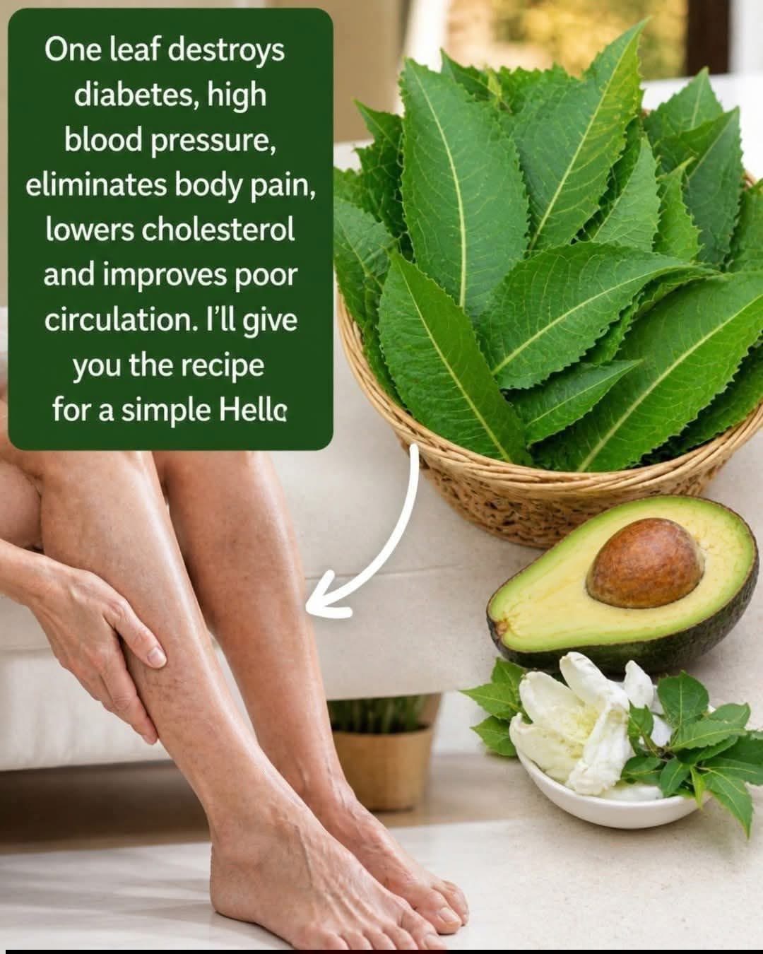 One leaf destroys diabetes